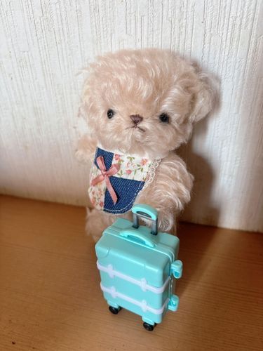 りょこ! いてくる!