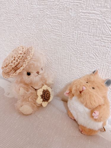 おともだち ふえた
はむた いうらし!