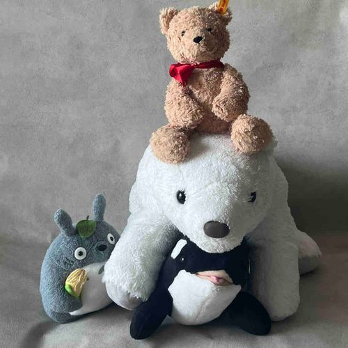 ドイツからきました🇩🇪
赤いリボンがチャームポイント
お友達はしろくまのくま、トトロのとろ、シャチのオル、みんなで仲良く暮らしてます。

