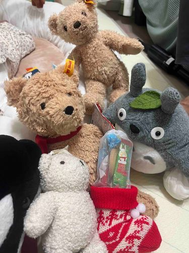 なんかいいのもらった！

…なんで片方だけなのかなー？