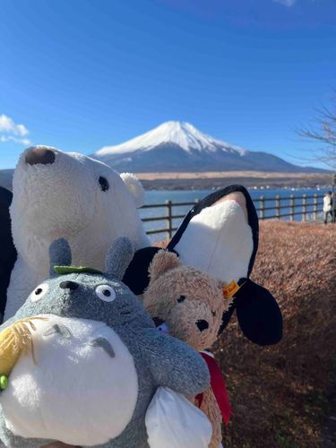 ううぅぅ〜！！正月ゥ！！
