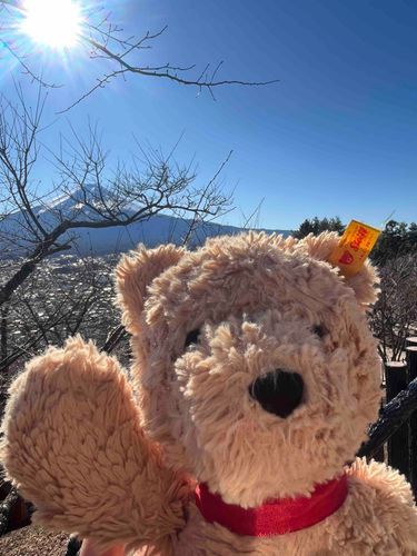 年末は山梨ってところに家族でいったよ。しゅたは富士山みた！ドイツとは景色が全然ちがうねぇ