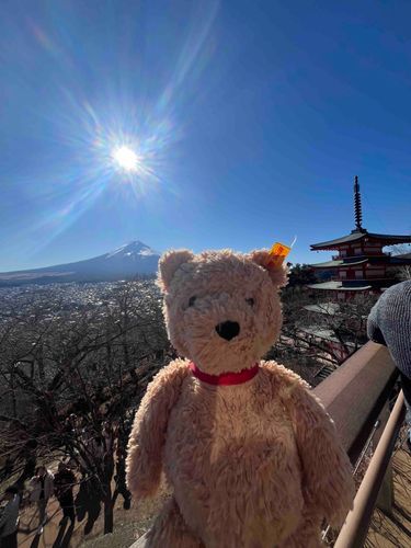 ここはJapanのガイドブックで見たよ🇯🇵