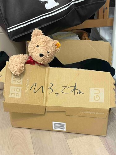 置いてある箱に入ったら笑われちゃった！なんで？