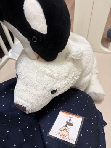 クリマ？のお土産〜！オルとくまにそっくりだったから買っちゃったんだって！
ポーズ！