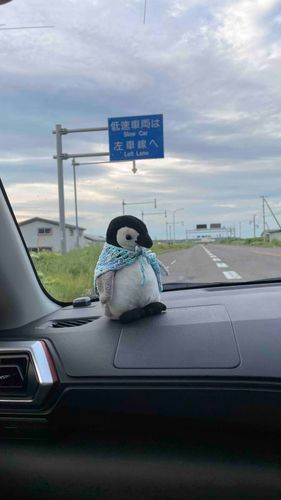 車のったよ