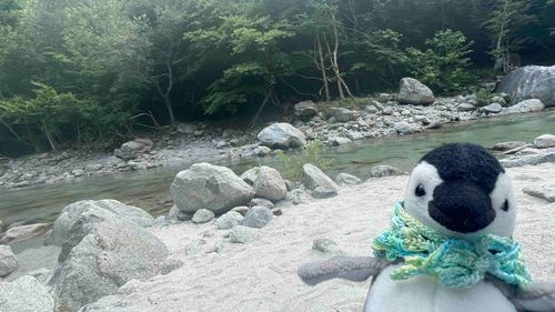 川見たよ