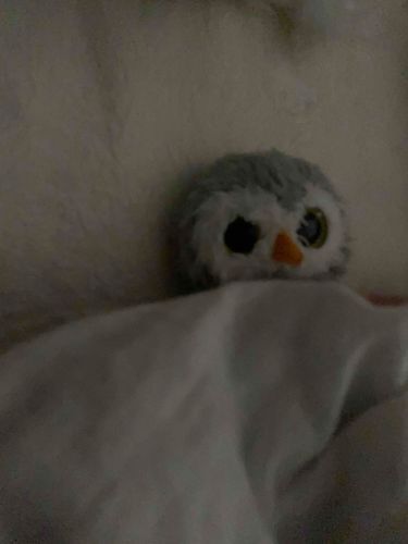 もうふあついよ。まるもうふいらない。