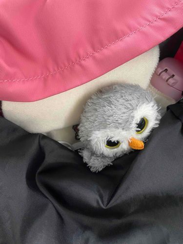 がっこうひさしぶり　ここひろいおへやだね