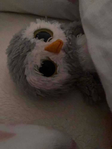 雨のおとするね　まるはまだねます