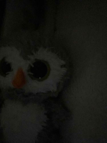 まるまだ、めめぱっちりだよ
ふくろうだから
でもみんながねるから、ねる
おやすみ⭐