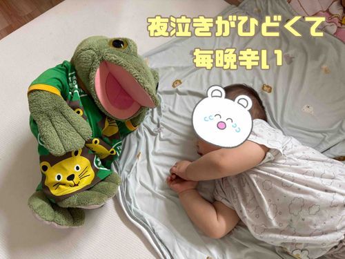 よっ🐸オレだ✨️永遠の赤ちゃん、キチだぁ〰️‼️
ちょっと聞いてくれ…9ヶ月、息子くんの夜泣きがひどいんだ。
ご主人様、夜が来るのが怖いって言い始めてしまったぞ🐸💦
心配だ、オレに出来ることは…ご主人様が添い寝から離れる時に代わって添い寝しながら見守ることなんだ🥲
昨日の朝寝、やっと寝たからご主人様が休憩できるチャンス✨️オレは念を送りながら見守ったんだ‼️( ー̀ωー́)
でも、念が強すぎたか?40分で起きてしまってだな😭なかなか大変な毎日でご主人様と一緒に頭を抱えてるぞ…🐸😵💫
・
・
#キチと添い寝🐸