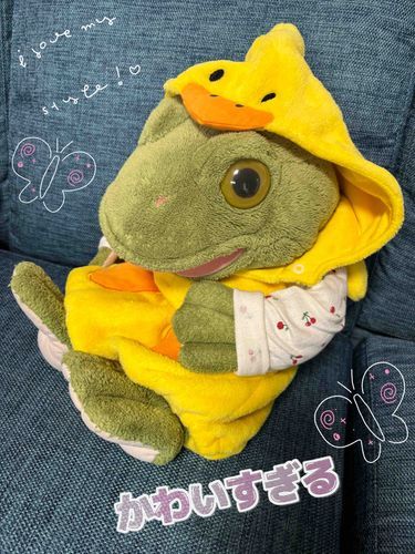 ガーコだのね🐸🌷
可愛いヒヨコの服を譲ってもらえて、息子くんにもらったんだけど…帰宅するなりガーコが着せられてしまったのね。笑笑
ご主人様は、「きゃー😍ガーコちゃん可愛すぎるぅー💓💓💓」とメロメロだったのね🤣その後は、もちろん息子くんも着せられてた✨🐤
フードを嫌がって、瞬間的にしか被らないから写真とるのが至難の業!🫨活発に動くようになると写真も難しくなる、ブレまくって躍動感ある1枚になりがち。笑
・
・
#ガーコちゃんのコスプレ写真館🐸