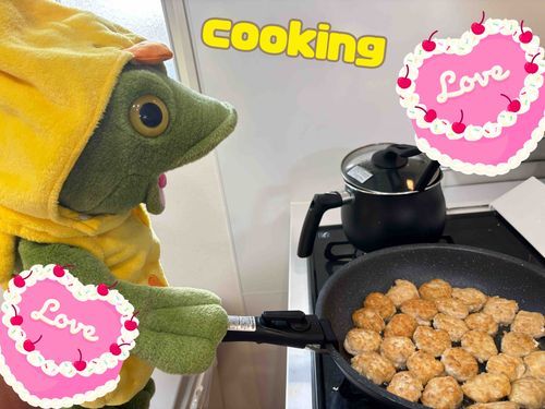 3男坊カクデス🐸🍳
ガーコお姉さんに引き続き、ひよこのコスプレでキッチンに立ちました🐸💦(コスプレは恥ずかしいタイプです😂)
カクは、
こう見えて料理が趣味!
あらよっと🎵
これは子どもたちが大好きな『豆腐ナゲット』鶏ひき肉と、豆腐を混ぜ混ぜ。マヨネーズ、コンソメ、しょうゆ、にんにくで味付けしたです〜✨
小さいのを沢山作ったんだけど、娘ちゃんは10個くらい食べていました。笑🐸
息子くんも負けじと6個!大人が食べる分は残らなかったんですよ〜!ごめんなさーい!🐸💦