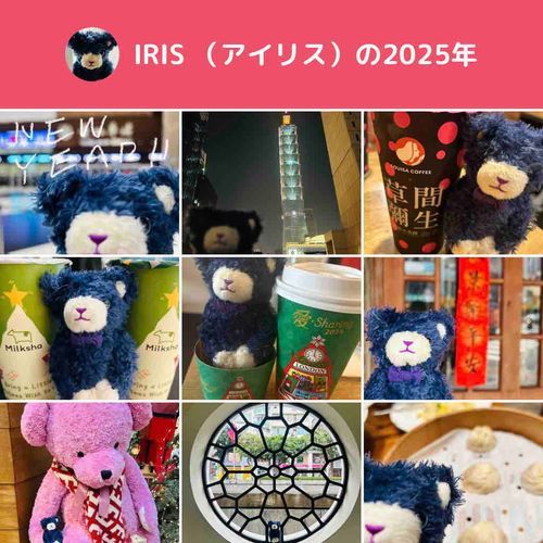 たのしいことが　たくさん　あった　いちねんだったよ
あそびにきてくれた　みんな　ありがとう！
あたらしいとしも　なかよくしてね💜
