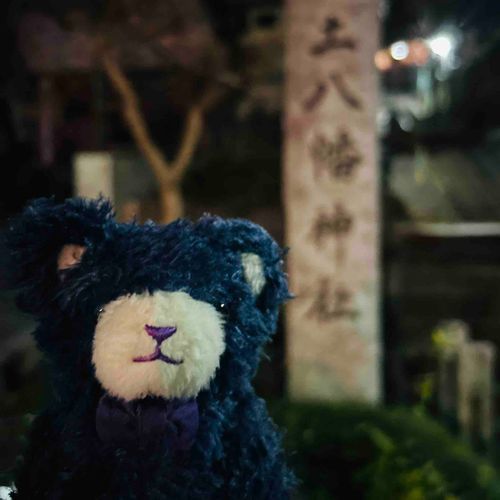 あけまして　おめでとう　ございます
としがあけてから　よなかに　はつもうでに　いってきたよ