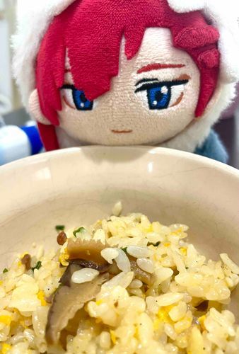 チャーハンをたべます
…しいたけいらないからってのせましたね