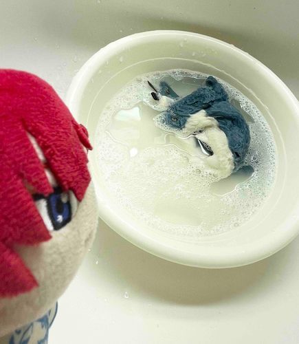 いつも着ているサメさんのきぐるみをおせんたくです
じぶんは手がぬれてしまうので、かわりに洗ってもらいました