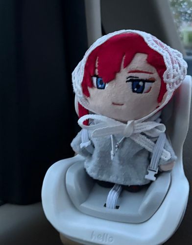 チャイルドシートをかってもらいました