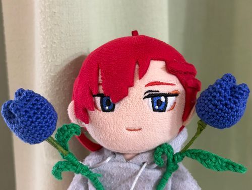 チューリップをもらいました🌷