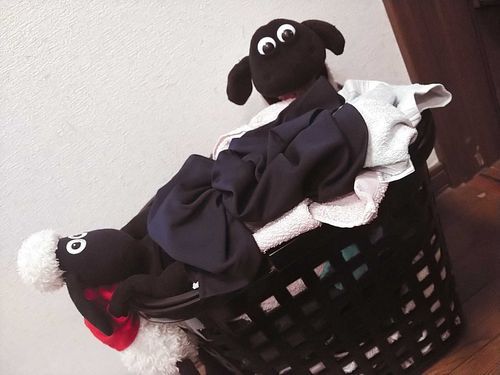 おせんたくもの