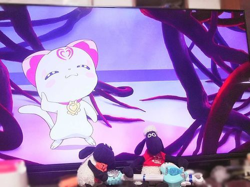 ショーンとティミーとスイートプリキュアの映画みてる