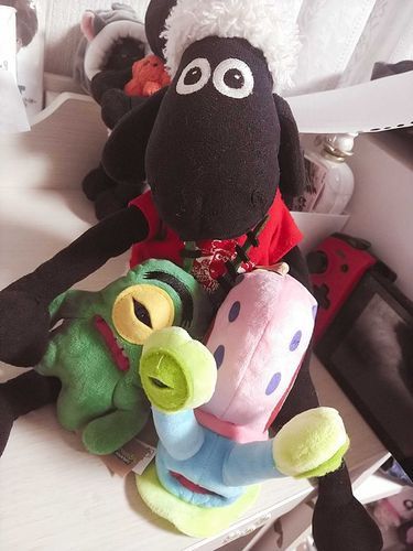 新しい子をお迎えした!!