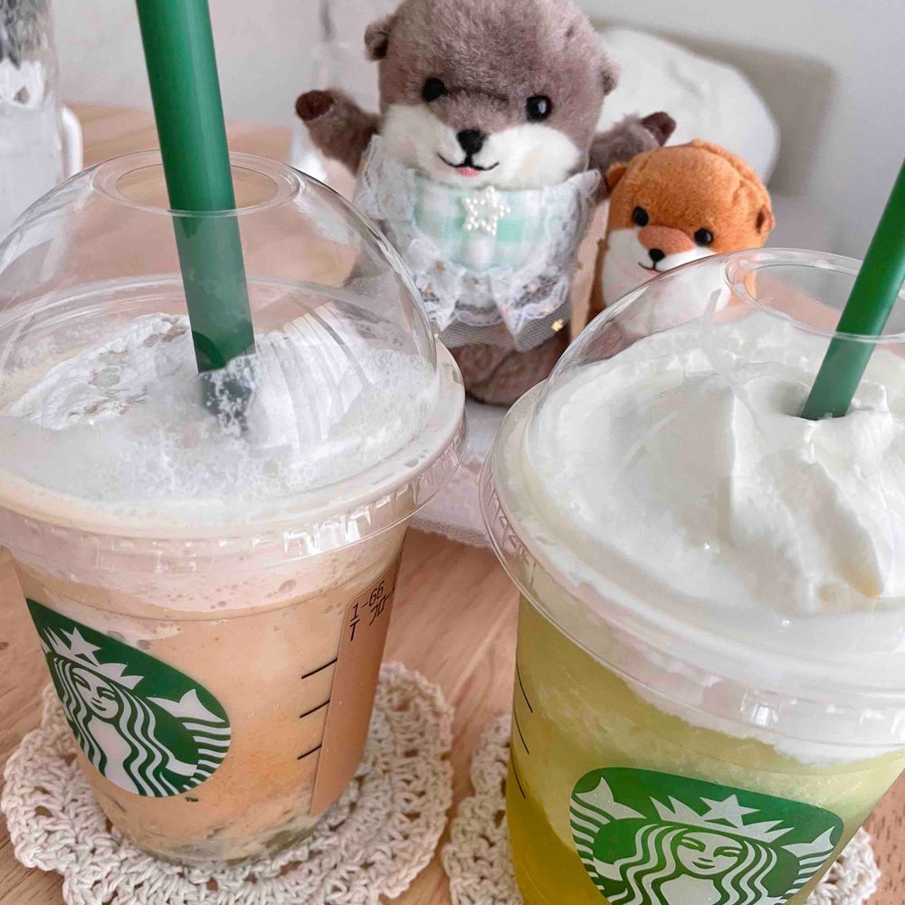 ひえひえのドリンクが支給された‼︎‼︎‼︎
弟子に見つかる前に、飲み干す‼︎‼︎‼︎