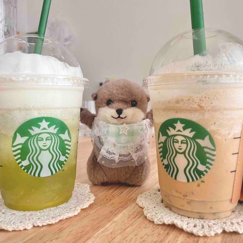 ひえひえのドリンクが支給された‼︎‼︎‼︎
弟子に見つかる前に、飲み干す‼︎‼︎‼︎