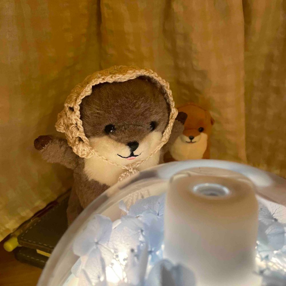 引越しをして、新たに占い師のバイトを始めた‼︎‼︎‼︎
的中率はごぶごぶ‼︎‼︎‼︎‼︎
