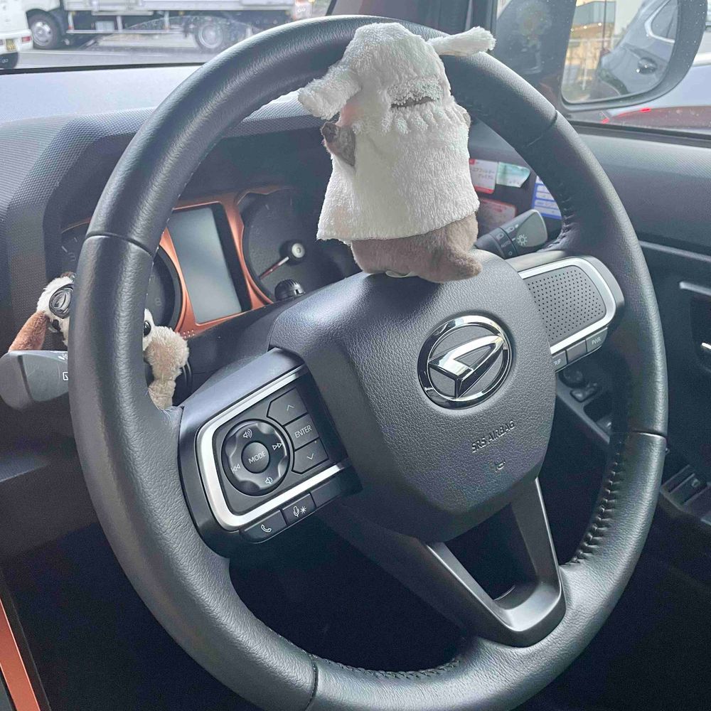 快適な車内にするべく、カイヌシにハンドルさばきを教えた‼︎‼︎‼︎
ちなみにあまたろうは、第五種うん転免きょAMA限定を取とくずみ‼︎‼︎‼︎