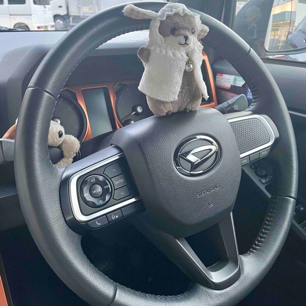 快適な車内にするべく、カイヌシにハンドルさばきを教えた‼︎‼︎‼︎
ちなみにあまたろうは、第五種うん転免きょAMA限定を取とくずみ‼︎‼︎‼︎