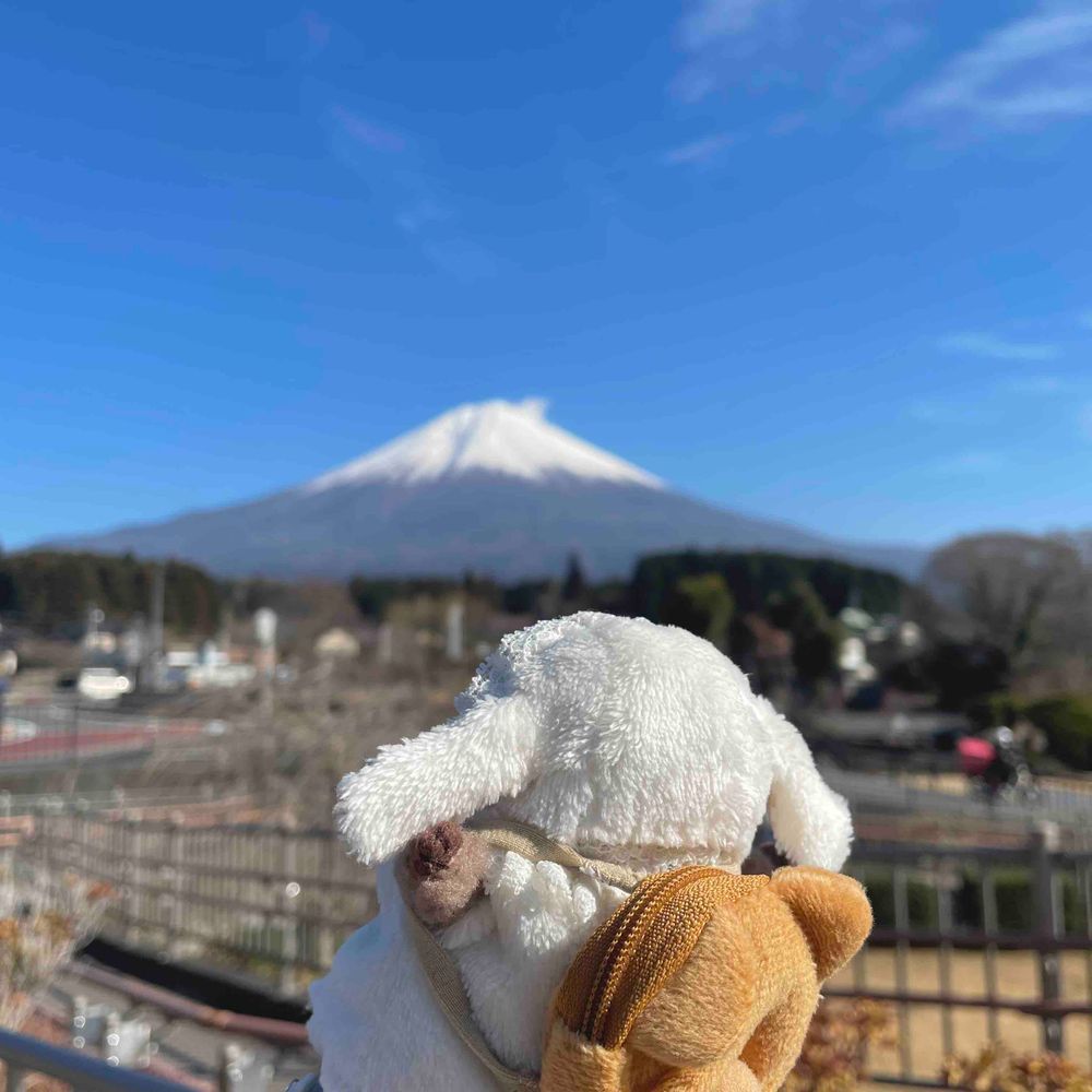 大きなかき氷を発見した‼︎‼︎‼︎
カイヌシに食べに行こうと言ったら、
山は食べられないよと言われた‼︎‼︎‼︎
納得がいかない‼︎‼︎‼︎‼︎