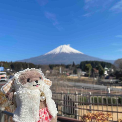 大きなかき氷を発見した‼︎‼︎‼︎
カイヌシに食べに行こうと言ったら、
山は食べられないよと言われた‼︎‼︎‼︎
納得がいかない‼︎‼︎‼︎‼︎