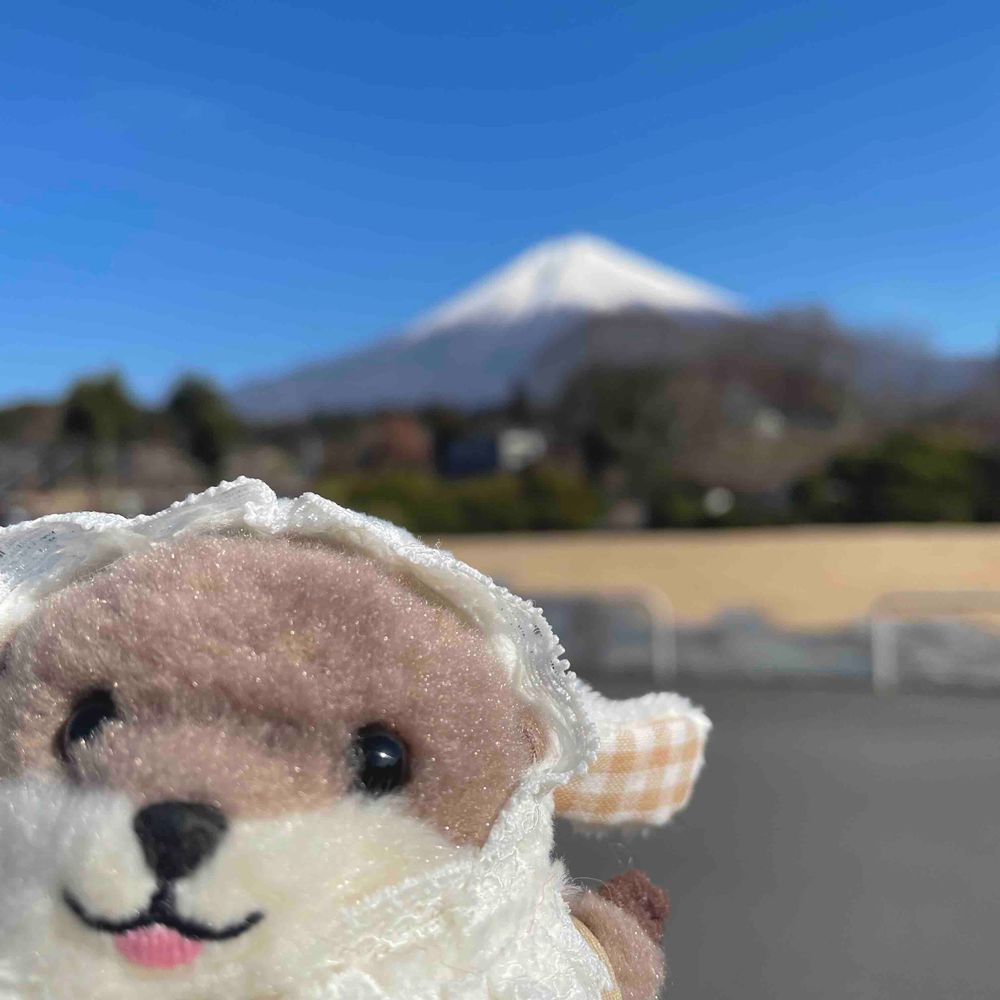 大きなかき氷を発見した‼︎‼︎‼︎
カイヌシに食べに行こうと言ったら、
山は食べられないよと言われた‼︎‼︎‼︎
納得がいかない‼︎‼︎‼︎‼︎