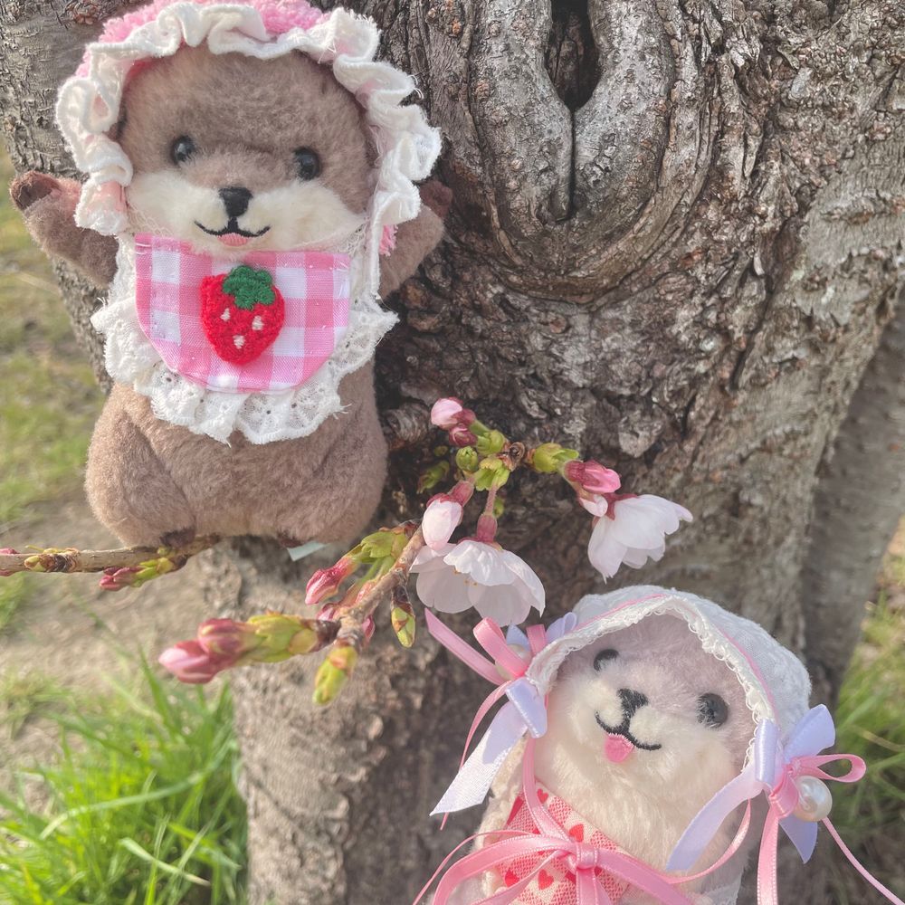 桜の咲き具合をチェックしてきた‼︎‼︎‼︎
まだつぼみもある‼︎‼︎
これからの成長に期待‼︎‼︎‼︎‼︎