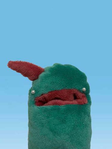 しょうめいしゃしん　です