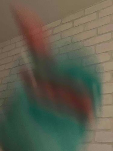 じょうずに　とべなかった