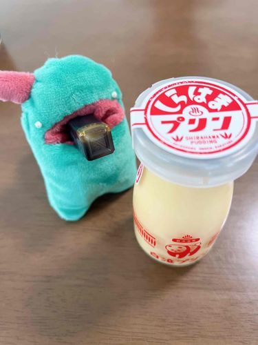 なんかつかれちゃってて 
こうしんできなかった
ぷりんおいしかったよ！