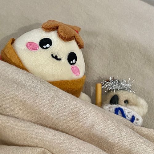 きたひろまいぴーと、おひるねを、したときの、しゃしんでーす🐨🌾🤗