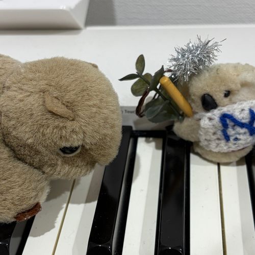 なげは、ふわぼこえすえぬえすの、たのしさを、ももんがに、りきせつを、しました🐨😍ももんがは、けわしいかおを、むけてきた🐨⁉️😲