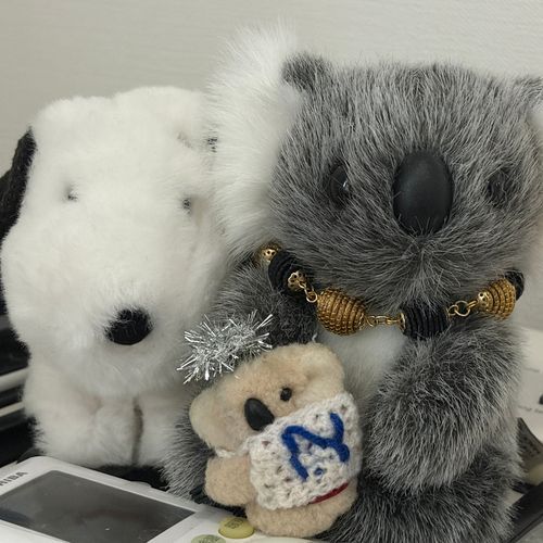 さんにん、かぞく⁉️🐨
ぽつちゃんは、「はなげ」がでている⁉️