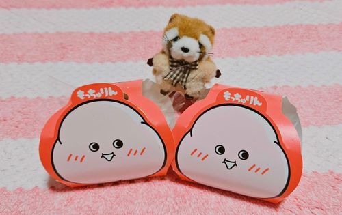 【もっちゅりん】

＼かいぬしー！これが噂のもっちゅりんですねー😍！？／

興奮気味なレッサーパンダのポンちゃんに、写真撮影をお願いされたのでパシャリ♪