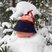 出先のちゅん