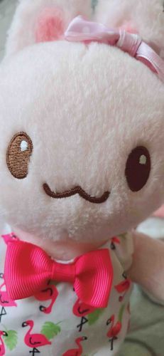 (圧)
