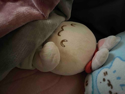 おやすみもも💤