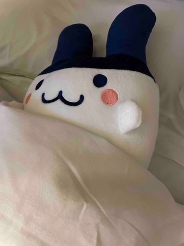 みちみちみみっち