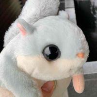 モモちゃん
