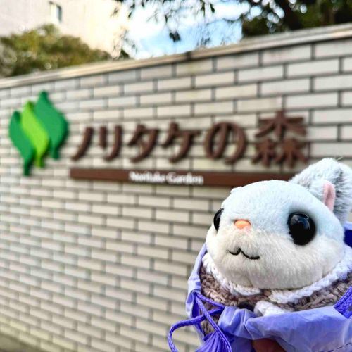 すてきな　おさらと　こつぷ　たくさん　つくてた　
おうま　ふくろう　くま　ねこ　ぶた　あた
ももんがは　なかた