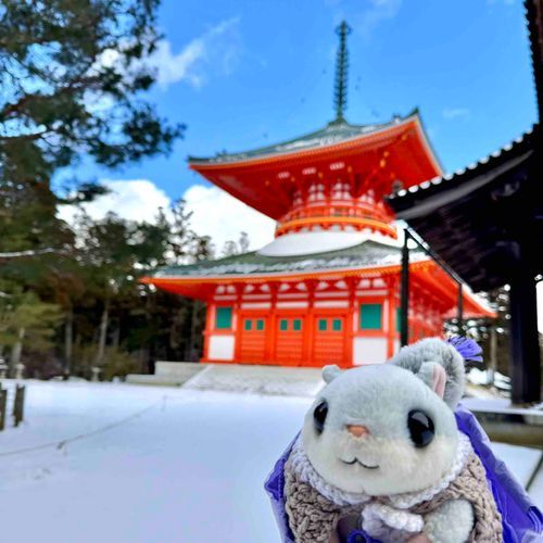 すごかた
なむしてきた